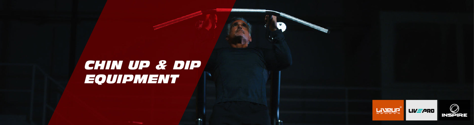 CHIN UP AND DIP EQUIPMENT