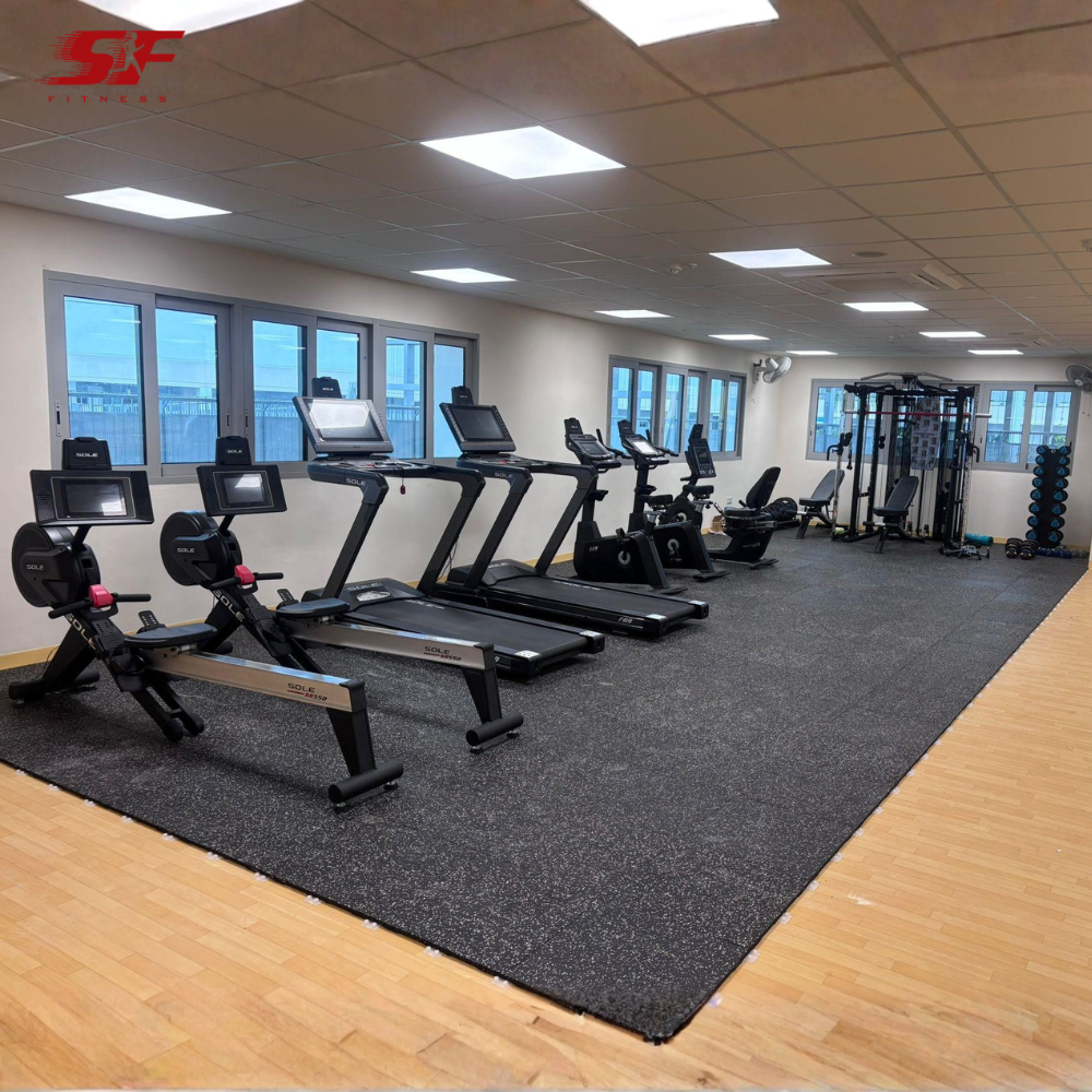 Commercial-fitness-equipment-supplier-Singapore-APSN