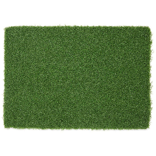 Gym Sled Turf