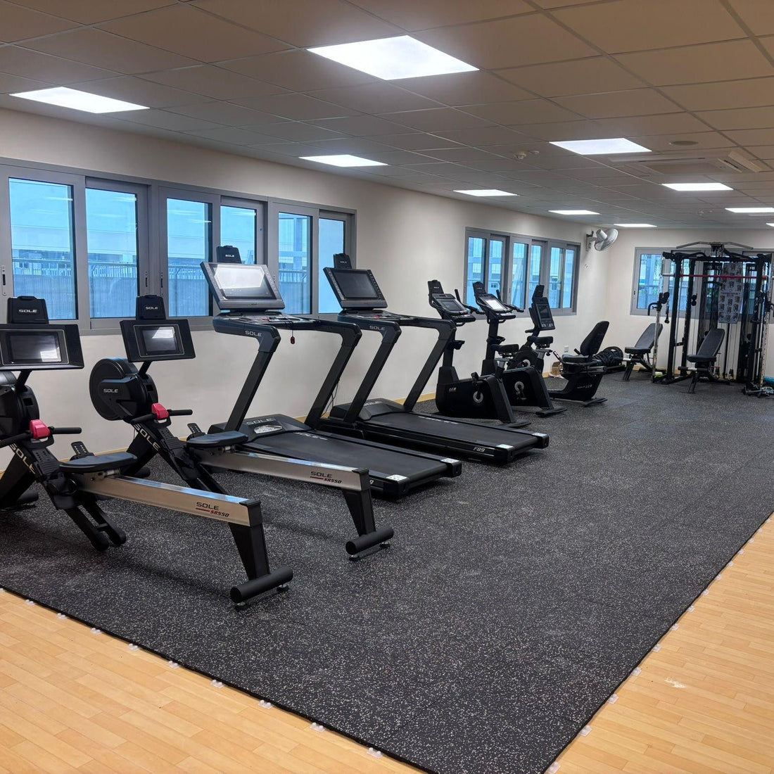 Complete Commercial Gym Solutions in Singapore: Equipment, Flooring, Rental, Maintenance & Free Layout Design