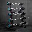12-Sided Urethane Fixed EZ Curl Barbells Set with Rack