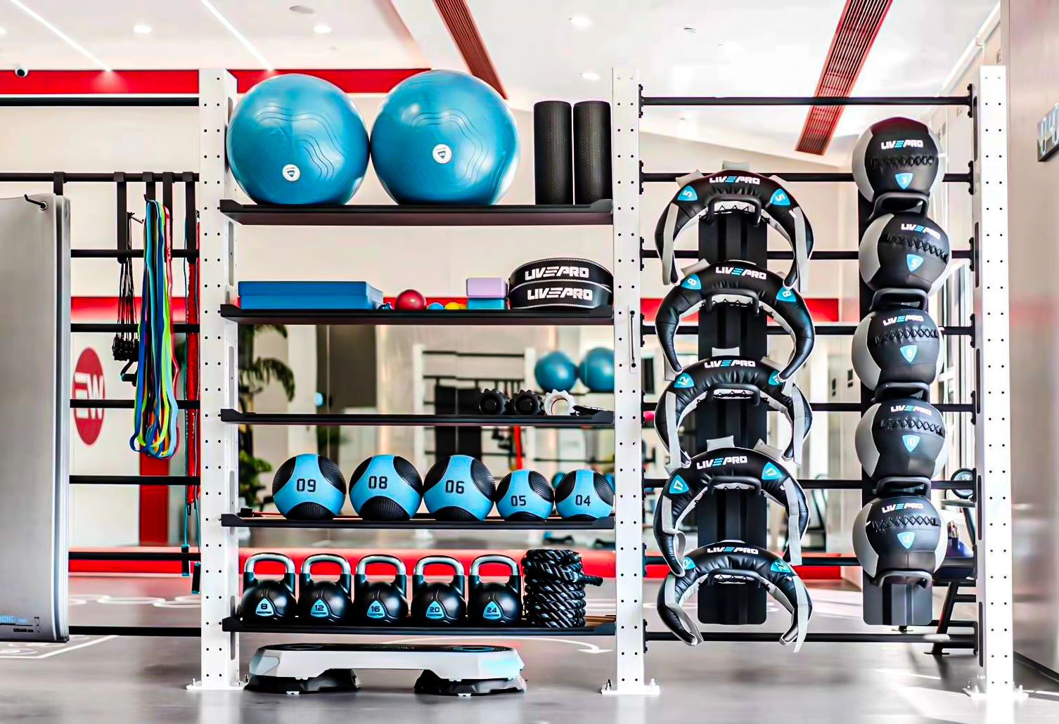 Inspire FT2 Pro Functional Trainer - Versatile Home Gym Equipment ...