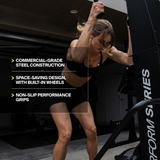 commercial grade ski erg Singapore gym
