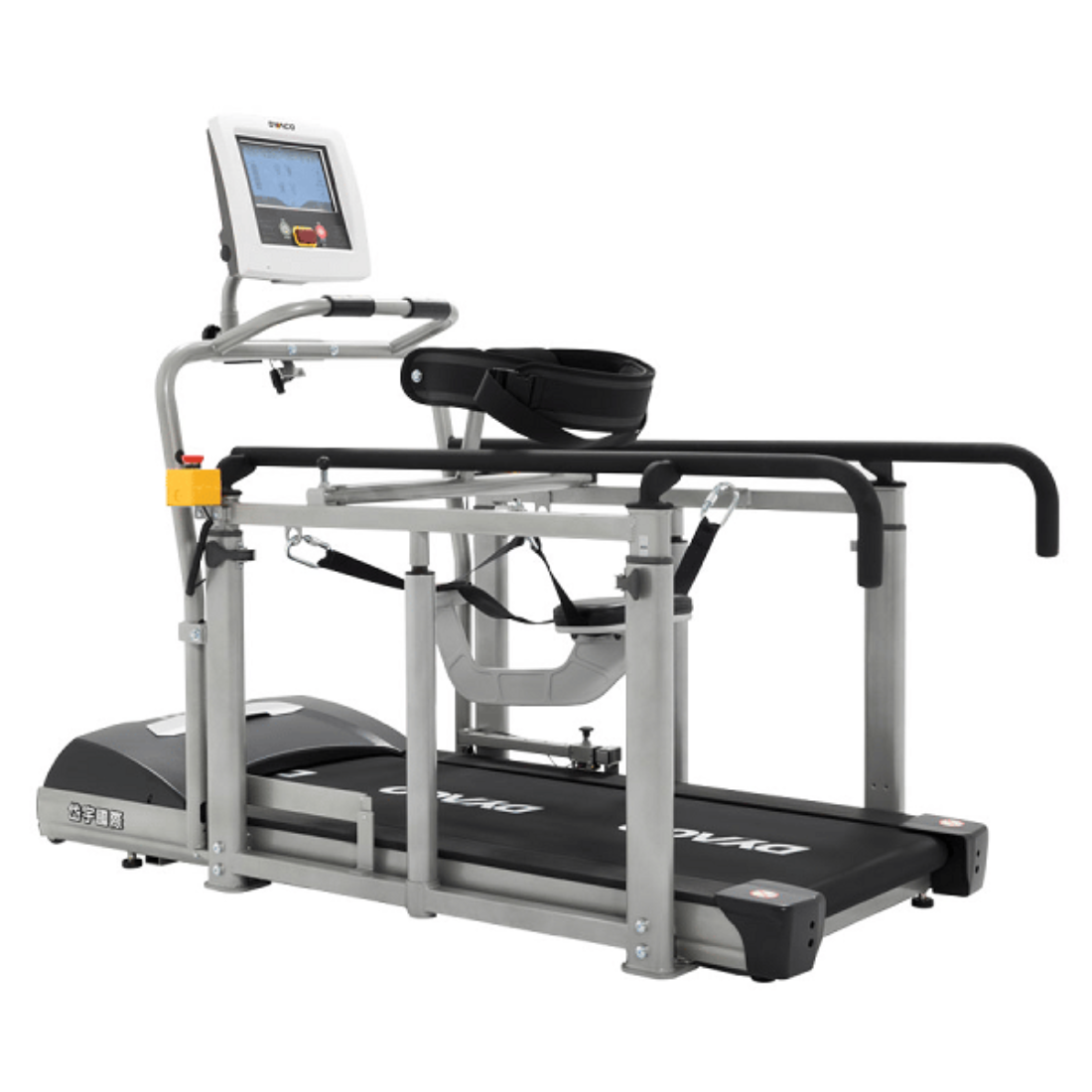 dyaco lw650 elders treadmill singapore