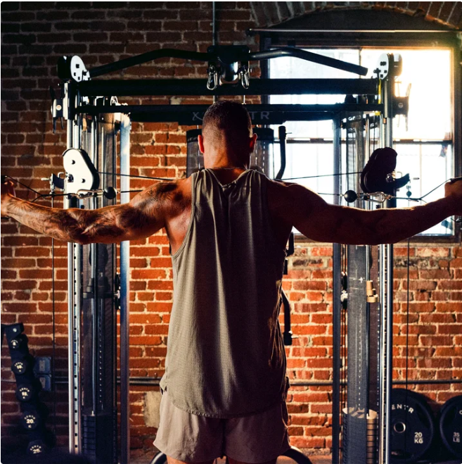 full body work out