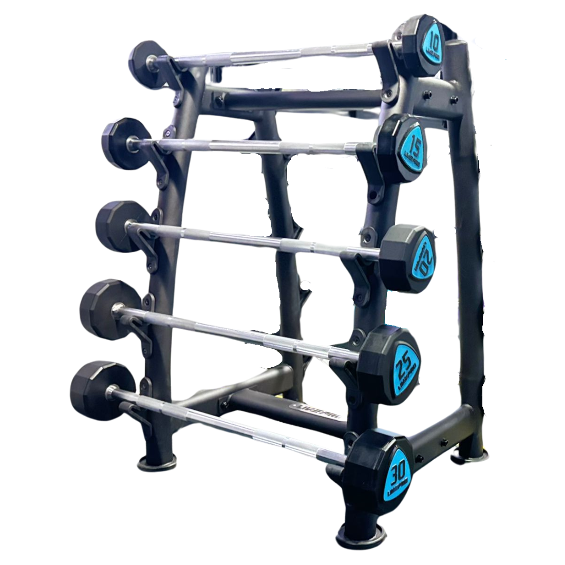 Barbell Rectangular 12-Sided Urethane Fixed Straight Barbells Set – Sole Fitness Singapore