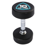 Urethane Studio Dumbbells