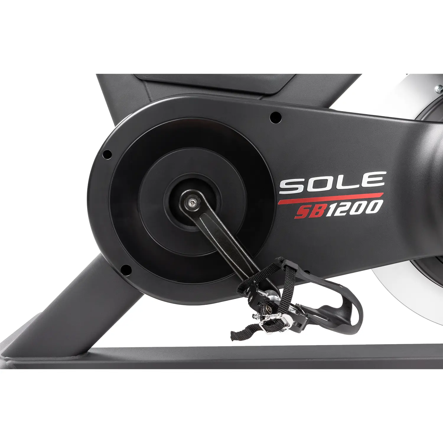 Sole SB1200 Spin Bike - Touch Screen