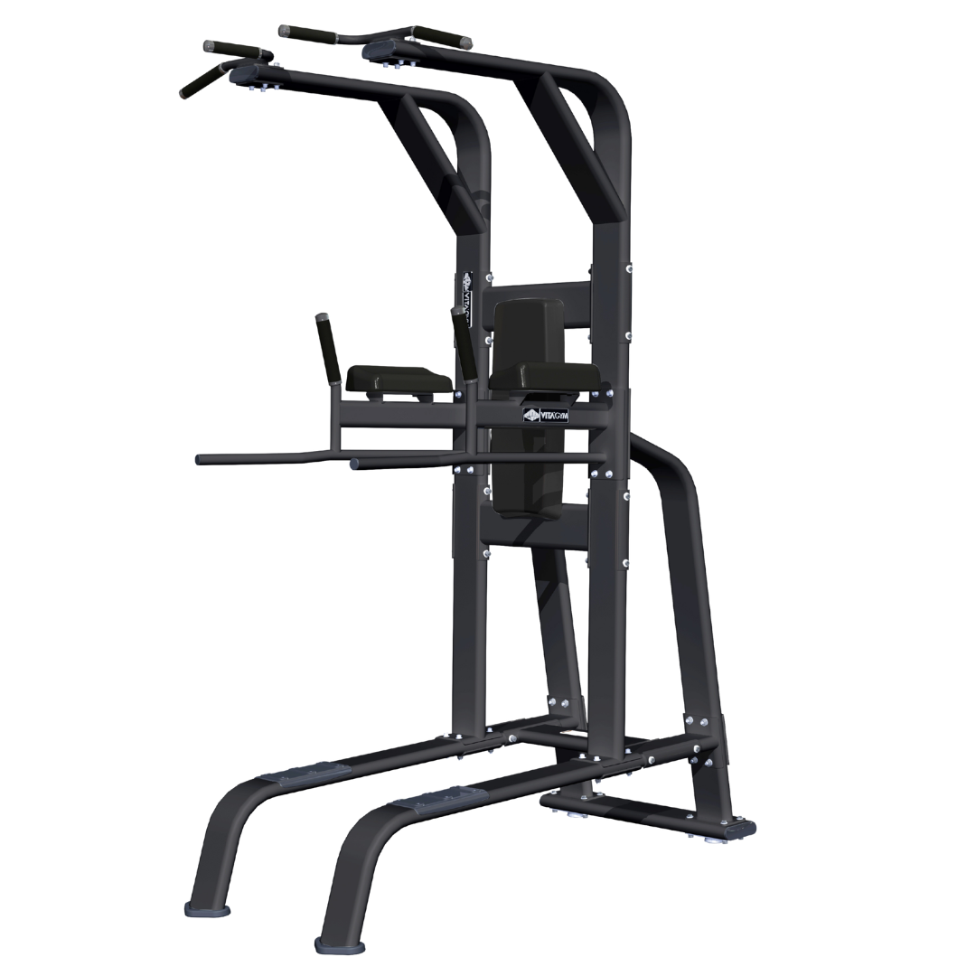 Best Heavy duty VKR chin and dip station for commercial gym