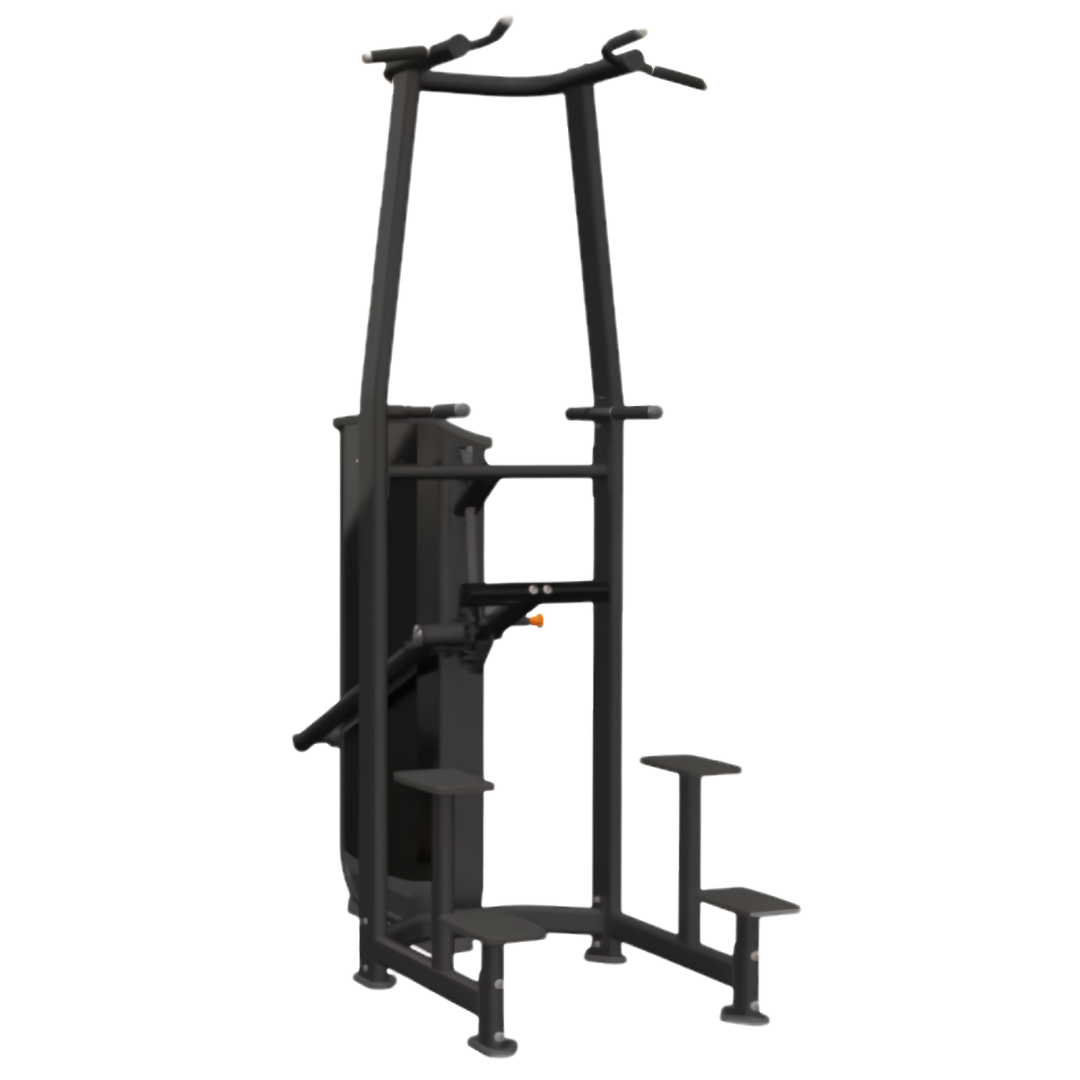 Vitagym assisted chin/dip machine