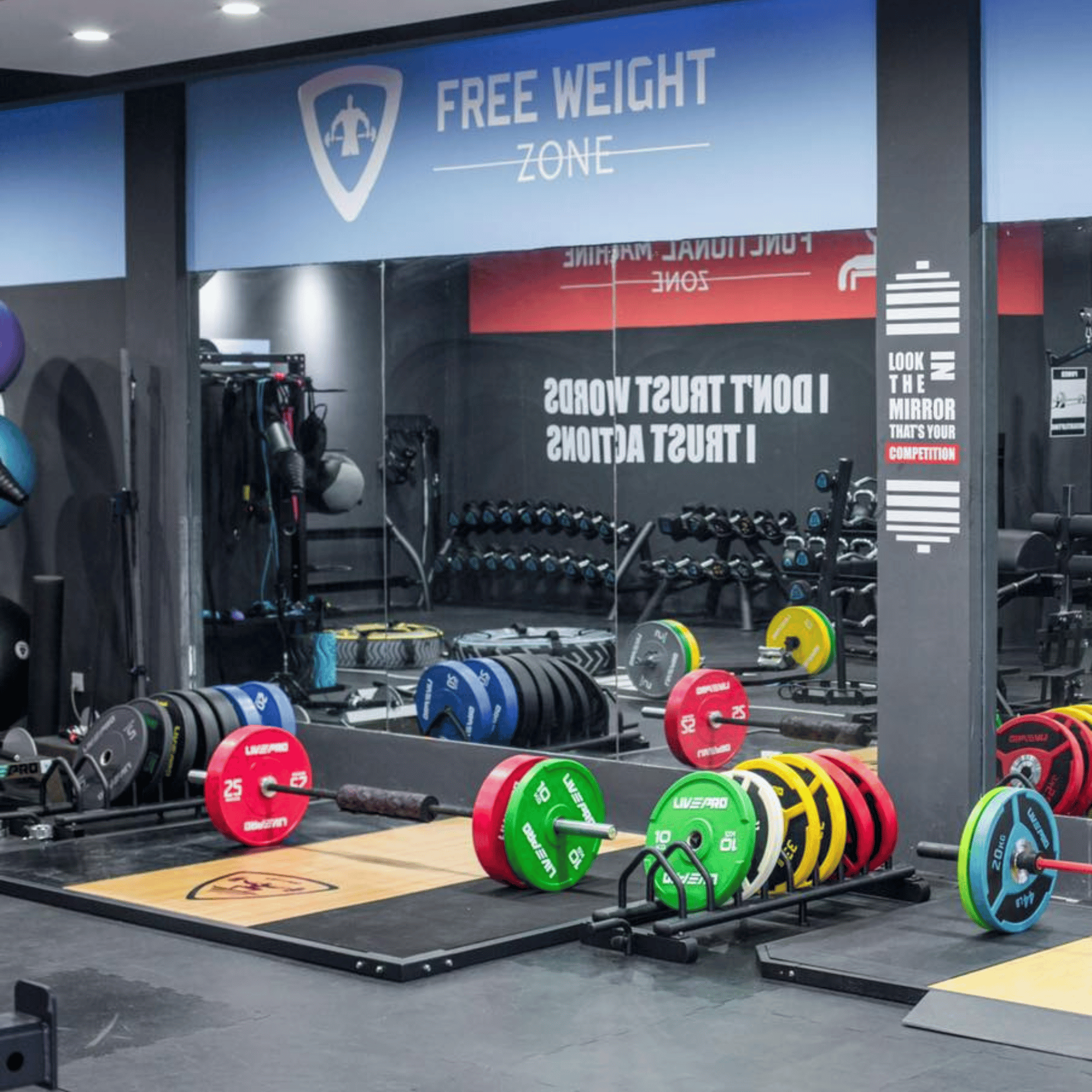 Exercise weight discount equipment for sale