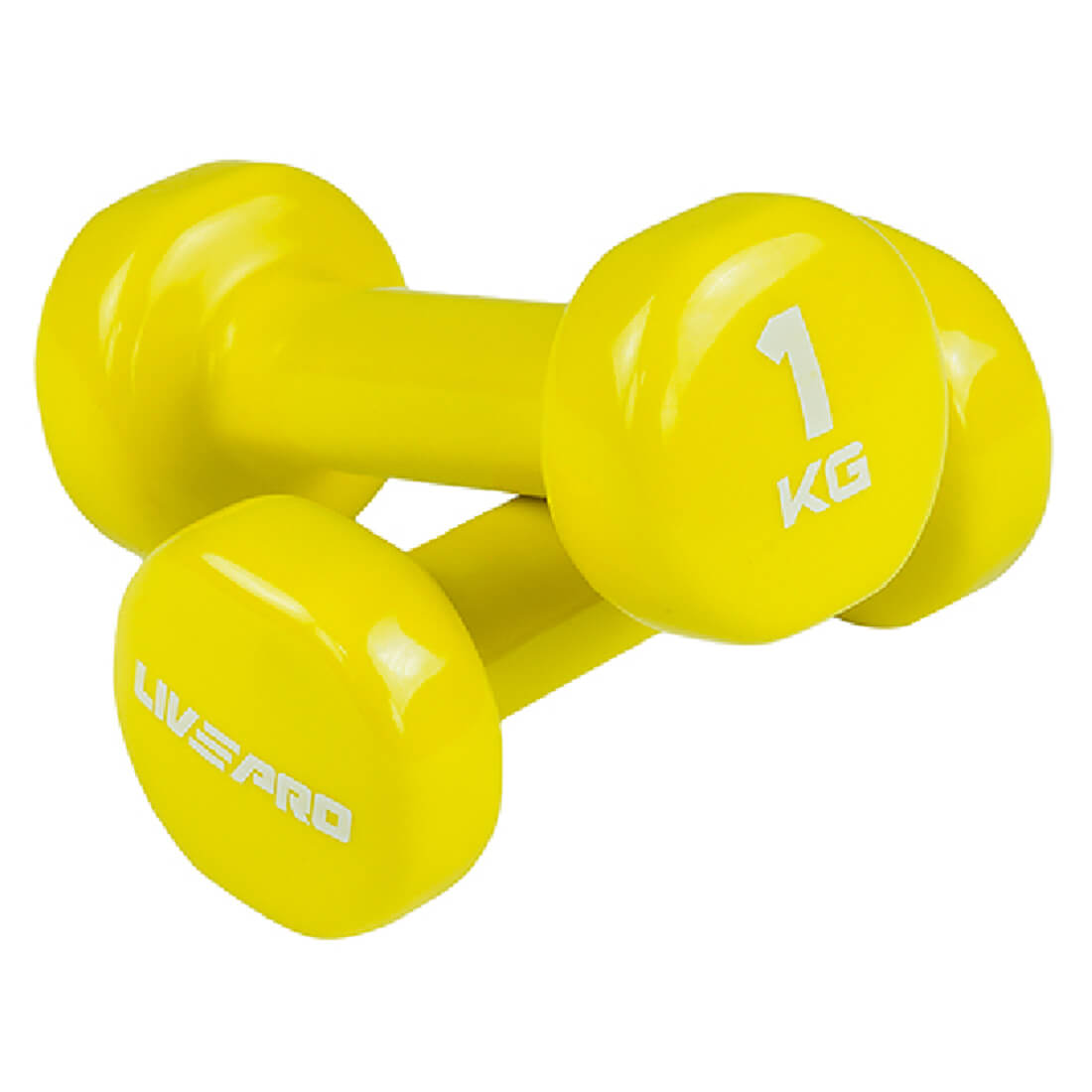 Studio Colored Dumbbells