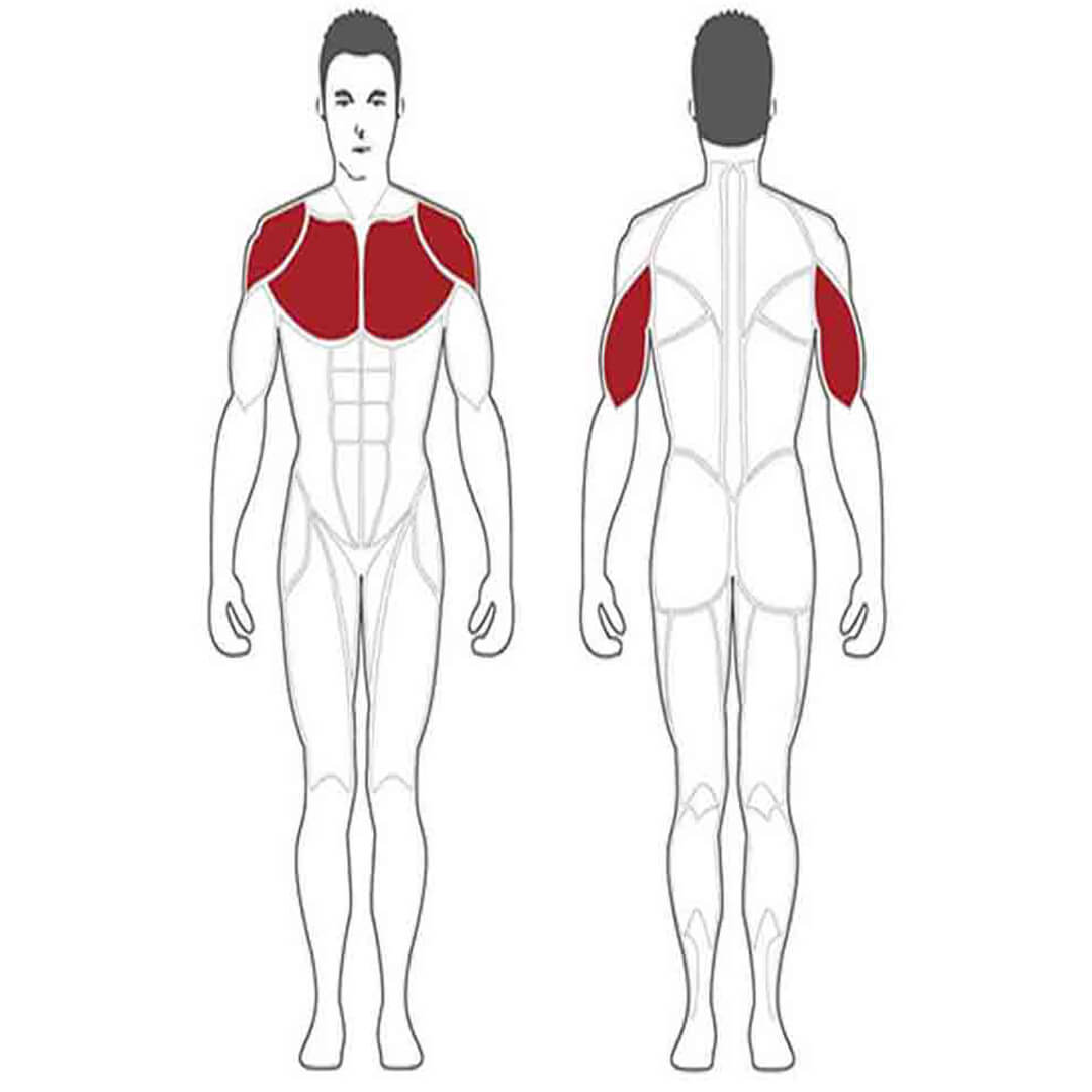 Steelflex Abdominal Crunch