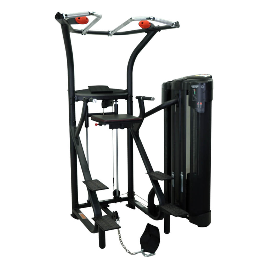 Inspire Dual Assisted Commercial Chin Dip Machine Buy solefitness.sg