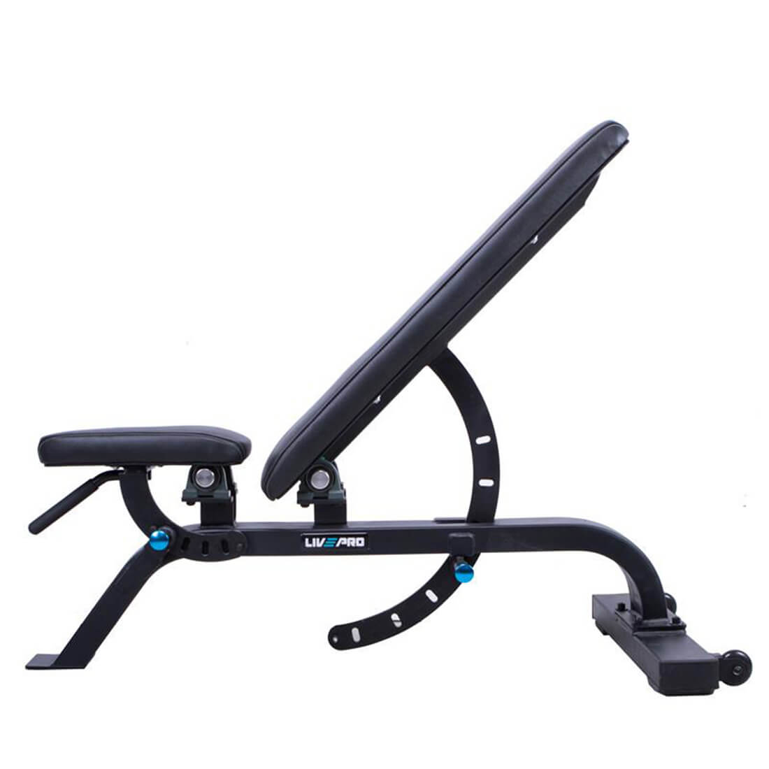 Multi-Function Workout Bench Singapore | Commercial Grade Gym Bench