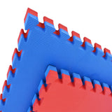 Martial Arts Eva Foam Tatami Mats - Red & Blue - 20mm