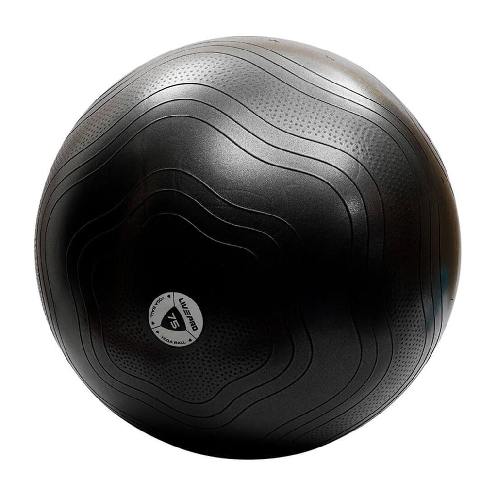 Buy Anti-Burst Gym Ball Singapore | Sole Fitness | 55cm, 65cm & 75cm