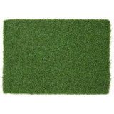 Gym Sled Turf