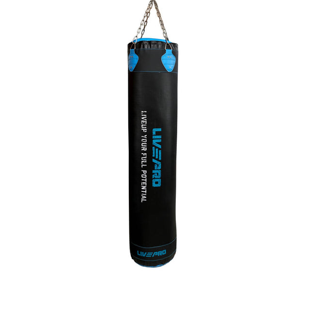 Boxing Bags & Stands Singapore - Premium Home Gym Equipment | Sole Fitness