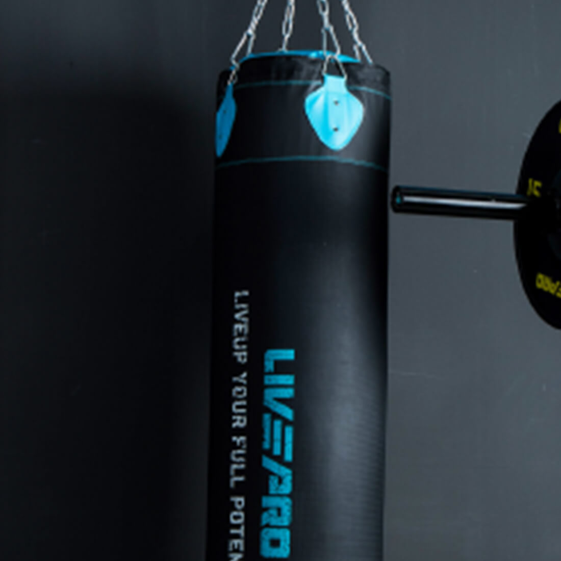 Livepro Hanging Punching Bag