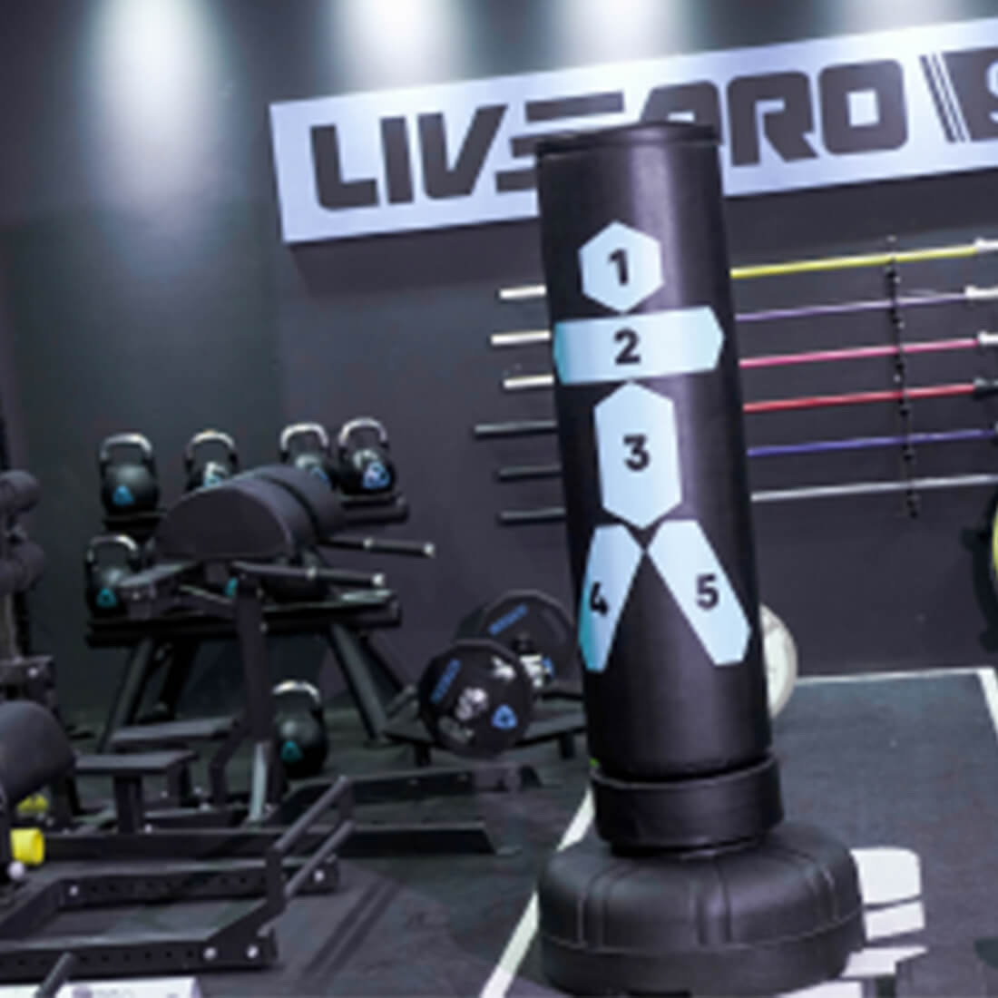 Livepro Free-Standing Boxing Bag