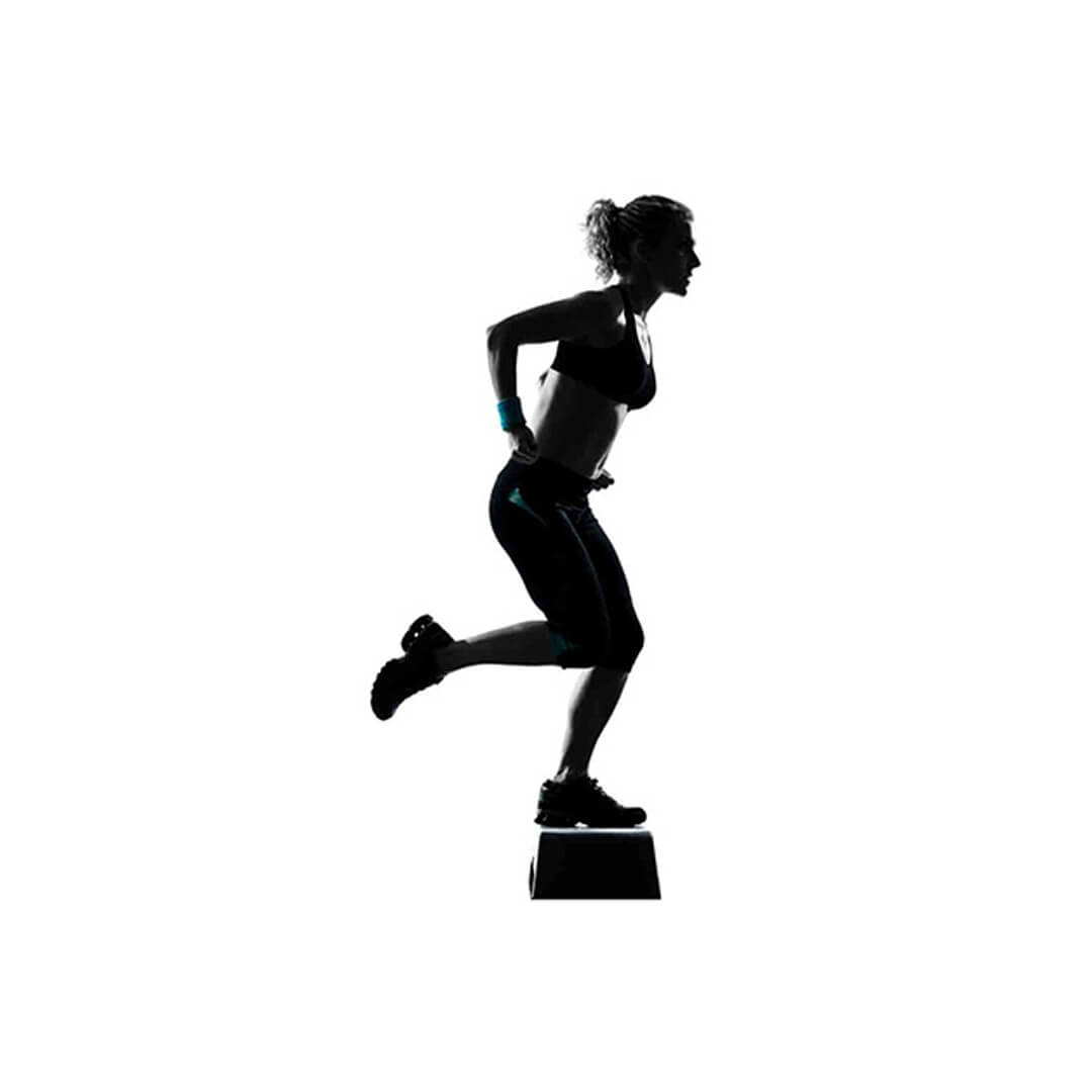 LIVEUP V Stepper | Sole Fitness Singapore